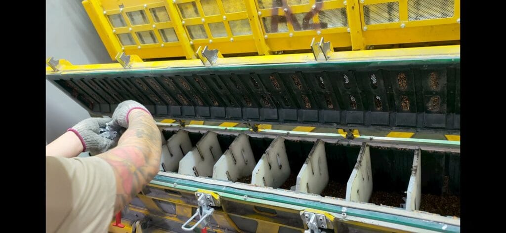 e871c3fa9c275ca5d6025d59bbce0ad